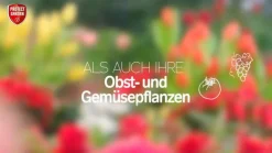 PROTECT GARDEN Lizetan Plus Schädlingsfrei AF, 500 ml