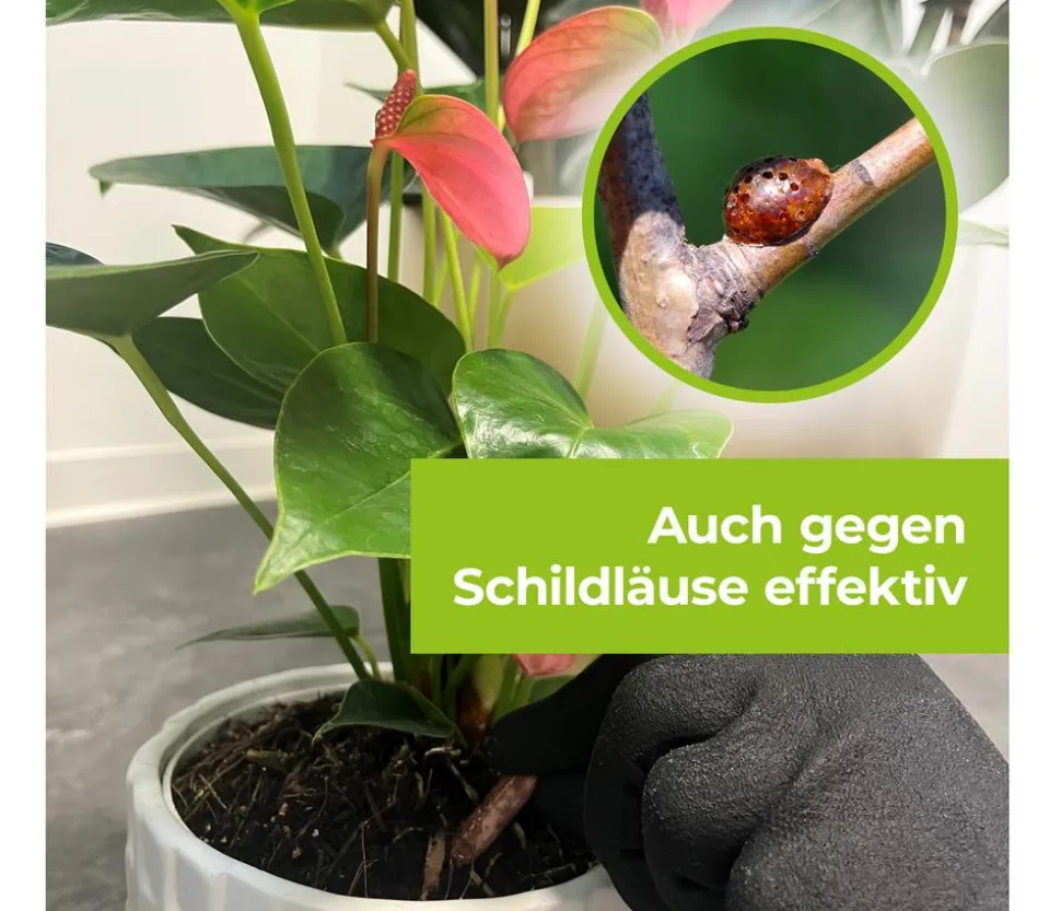PROTECT GARDEN Lizetan Plus Combistäbchen