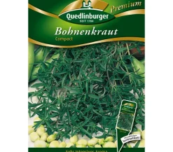 Quedlinburger Samen Bohnenkraut 'Compact'