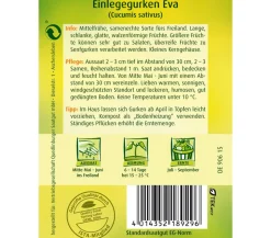 Quedlinburger Samen Einlegegurke 'Eva'