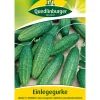 Quedlinburger Samen Einlegegurke 'Libelle'