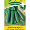 Quedlinburger Samen Freilandsalatgurke 'Konsa'