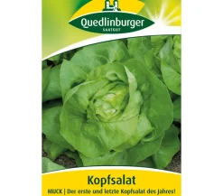 Quedlinburger Samen Kopfsalat 'Muck'