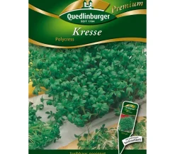 Quedlinburger Samen Kresse 'Polycress'