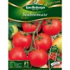 Quedlinburger Stabtomate 'Harzglut'