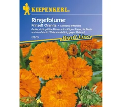 Ringelblume Prinzeß Orange, Saatgut von Kiepenkerl