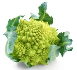 Romanesco, 6er Schale