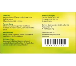Rote Bete, Rote Rübe, bunt, 12er Schale
