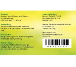 Rote Bete, Rote Rüben, 12er Schale