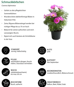 Schmuckkörbchen, verschiedene Farben