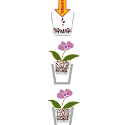 Seramis Spezial-Substrat für Orchideen
