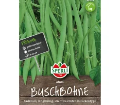 SPERLI Samen Buschbohne 'Maxi'