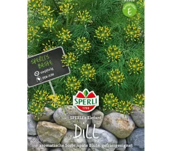 SPERLI Samen Dill 'SPERLI´s Elefant'