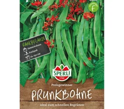 SPERLI Samen Prunkbohne 'Preisgewinner'