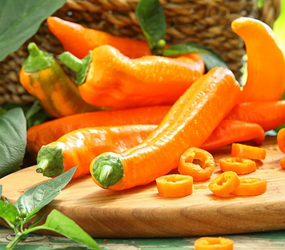 Spitzpaprika, orange