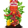 Substral® Dünger-Stäbchen für Tomaten, 10 Stk.