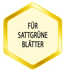 Substral® Eisendünger, flüssig, 250 ml