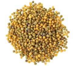Substral® Langzeit Depotdünger Balkonblumen