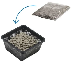 Teichpflanzen Komplett-Set Vielfalt, 6-teilig