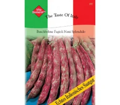 Thompson & Morgan Samen Buschbohne 'Fagioli Nani Splendido'