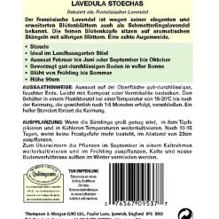 Thompson & Morgan Samen Französischer Lavendel