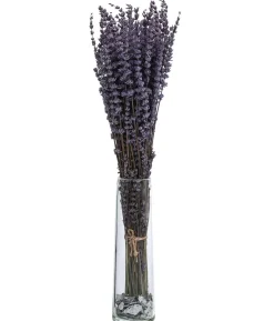 Trockenblumenbund Lavendel, 100g, ca. L45 cm