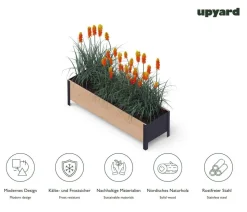 Upyard Holz-Pflanzkasten ModernBox, ca. B118/H32/T36 cm