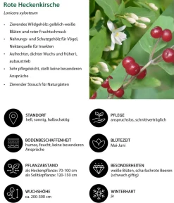 Vogelschutzhecke Fink, 4-teilig