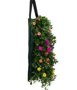 Wandhänger mit Portulakröschen, verschiedene Farben
