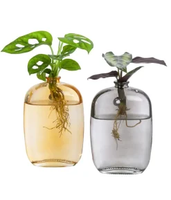 Waterplant-Set Wandhänger, 2-teilig