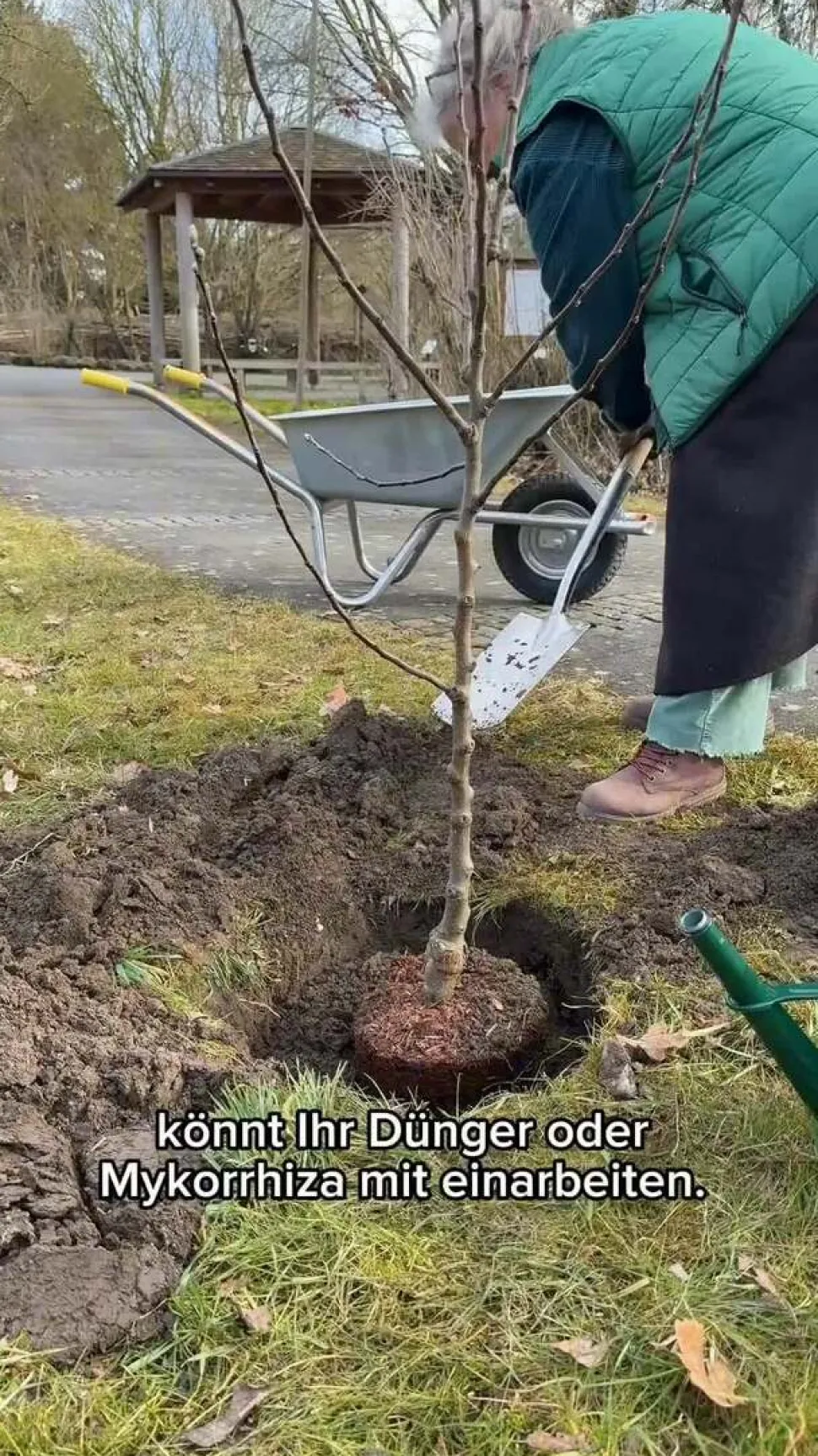 Winterapfel 'Roter Boskoop'