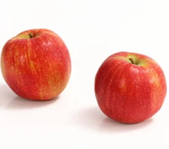 Winterapfel 'Jonagold'