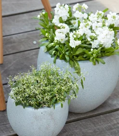 Zauberschnee 'Diamond Frost'